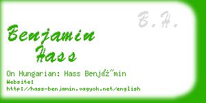 benjamin hass business card